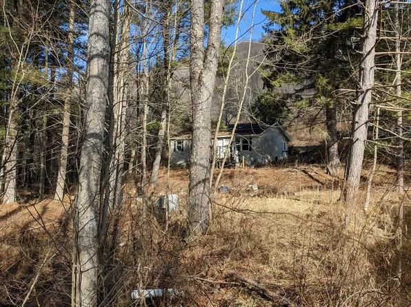 196 Button Rd, Port Allegany, PA 16743