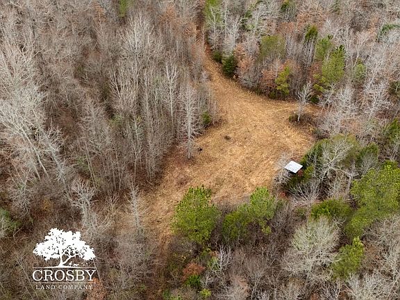 2nd image of Wood Rd