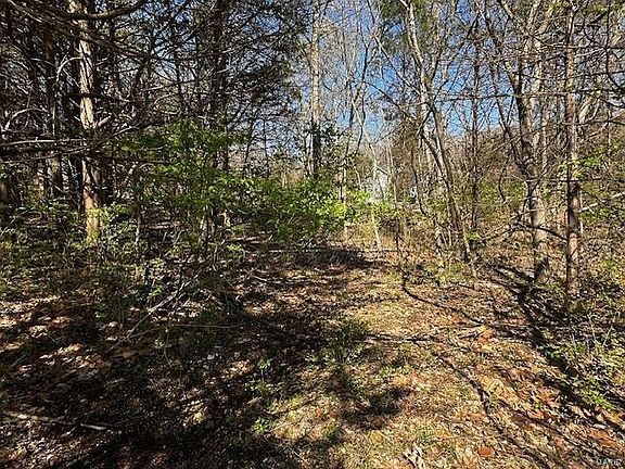 5th image of 9642 Greenview Ct