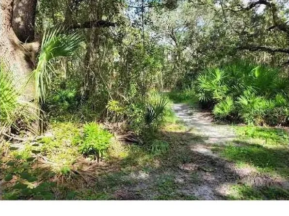 Lantana Ave Lot 8, Clearwater, FL 33755