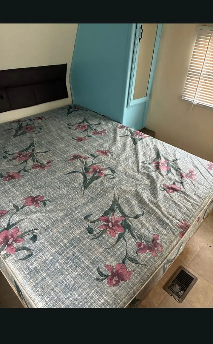 1 bed, $750 — Photo 4