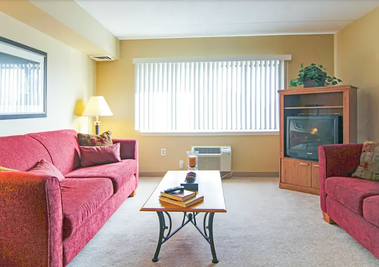 Unit living room