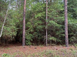 LOT 17 SW 201st Ave, Dunnellon, FL 34431