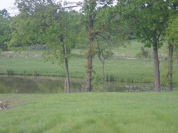 End of larger stocked pond