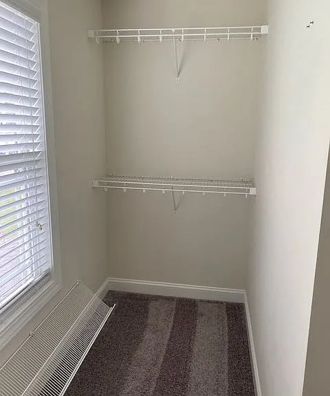 224 Green Trees Dr — Photo 47