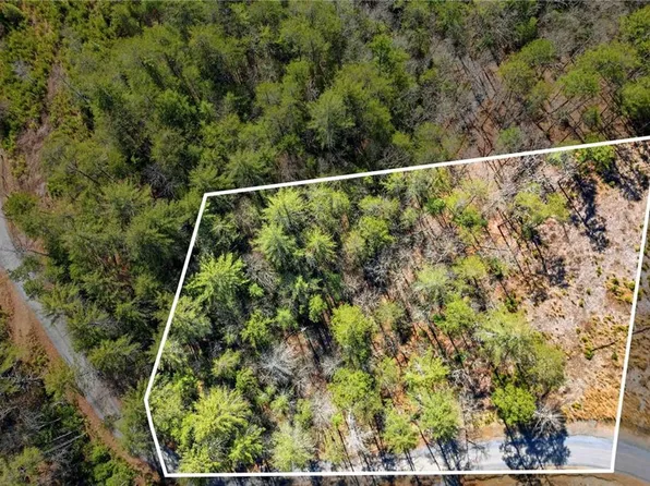 0 Mountain Laurel Dr #10, Mineral Bluff, GA 30559