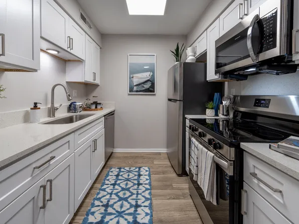 The Carlisle at Dunedin