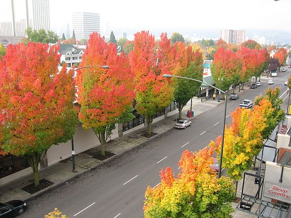 View Of Broadway