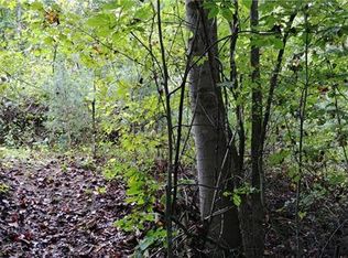 45 Blossom Rdg, Leicester, NC 28748