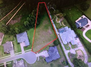 21211 Ski Way, Land O Lakes, FL 34638