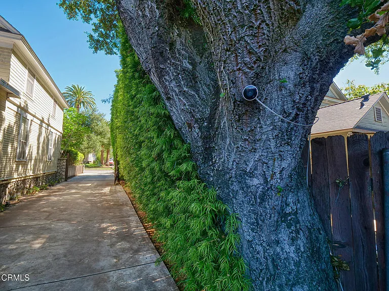 475 Cypress Ave — Photo 38