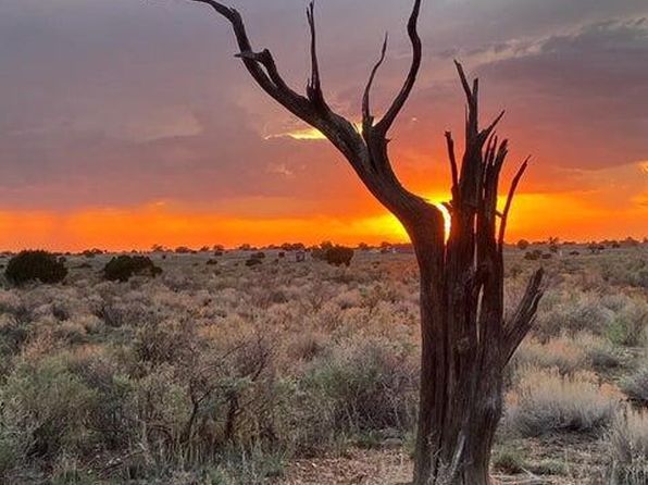 0 Sublime Dr #38, Williams, AZ 86046