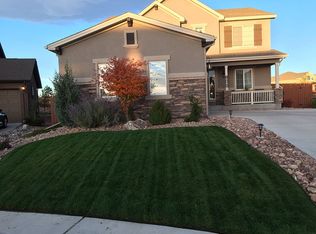 10282 Mt Lincoln Dr, Falcon, CO 80831