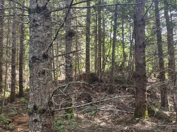 0 Hansen Road, Port Angeles, WA 98363