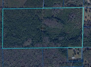B1 NW 290th Ave, Alachua, FL 32615