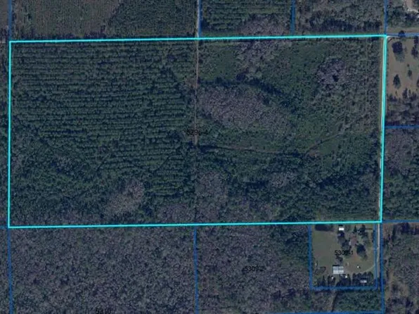 B1 NW 290th Ave, Alachua, FL 32615