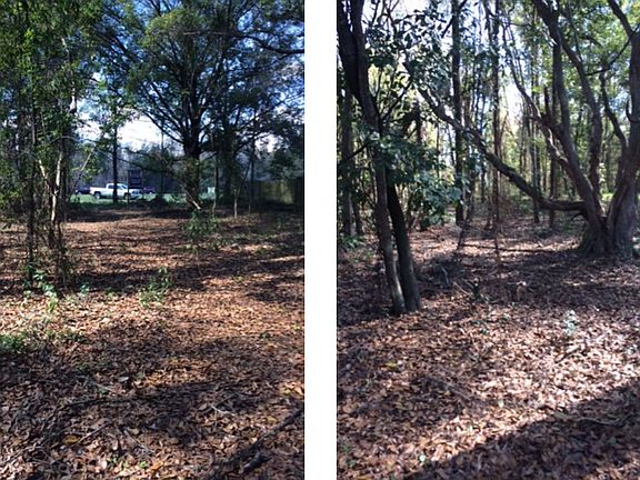 3rd image of 19447 N Dale Mabry Highway