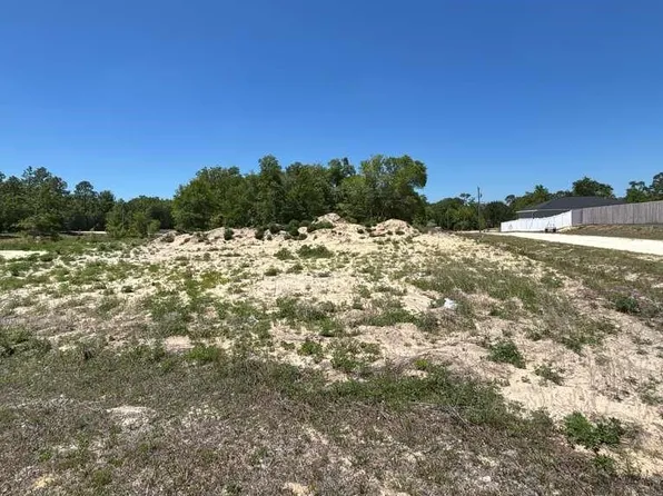 SW 141st Ct, Ocala, FL 34481
