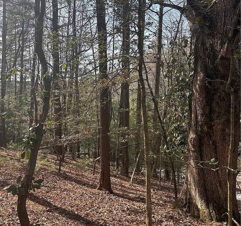 1st image of TBD Hollyknoll Rd. Lot #49 & 50