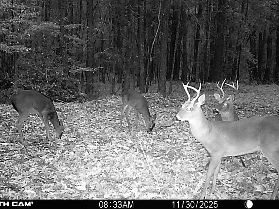 5th image of 5440 Old Milton Rd