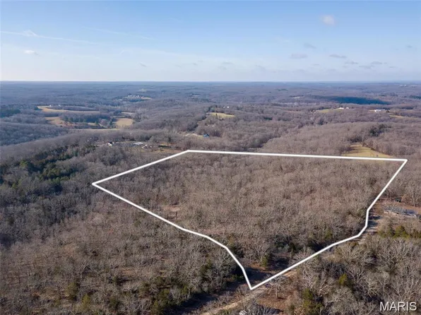 317 Fern Ct, Saint Clair, MO 63077