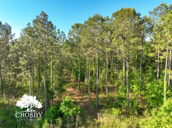 0 Mill Pond Rd, Smoaks, SC 29481