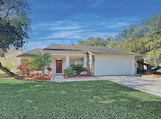 18308 Big Pond Way, Tampa, FL 33647