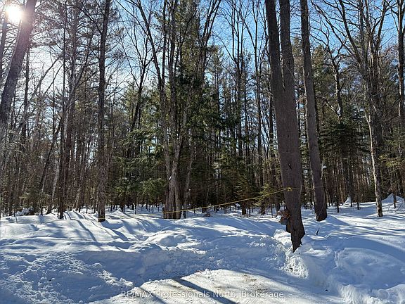 4th image of 1124 Little Hawk Lake Rd