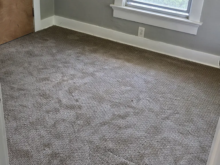 1230 Edward Dr — Photo 3