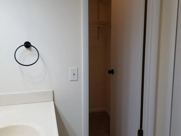 Walk in closet in Master bathroom