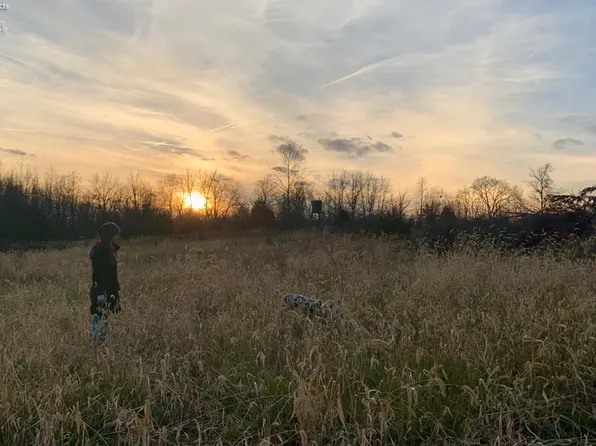 0 S Township Road 173, Bloomville, OH 44818