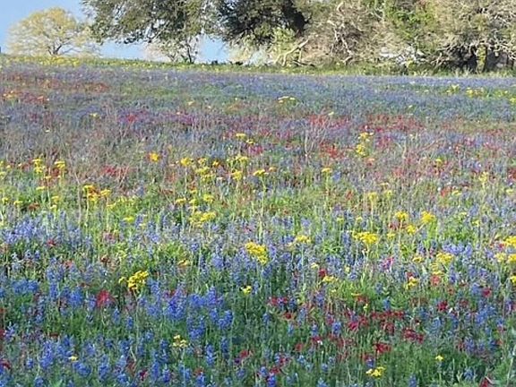 3rd image of 265 Boulton Creek Rd