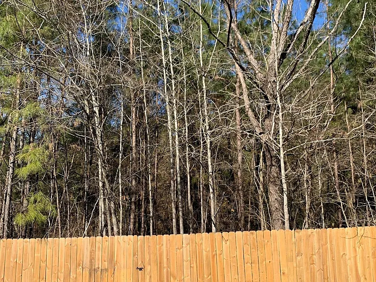 Backyard with great privacy