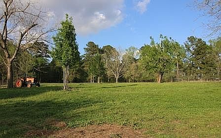4th image of 405 County Road 3055