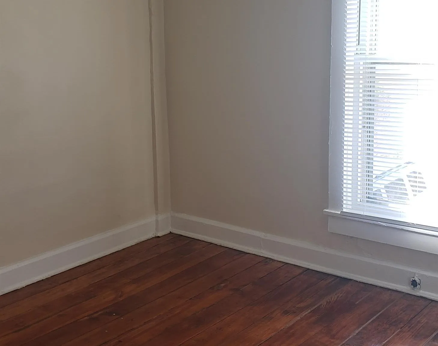 Camden - 731 — Photo 2