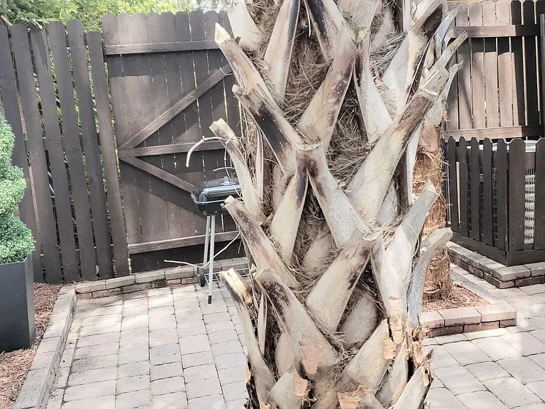 662 Trinidad Ct #662 — Photo 123