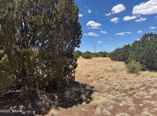 8513 Ossendorf Pl, Show Low, AZ 85901