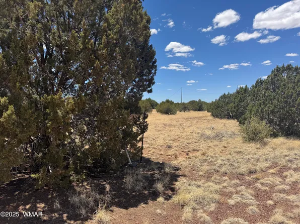 8513 Ossendorf Pl, Show Low, AZ 85901