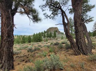 T20 R S18 Long Valley Rd #18, Chilcoot, CA 96105