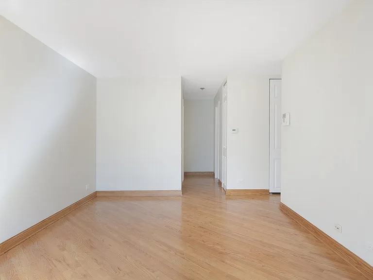 1169 S Plymouth Ct #301 — Photo 15