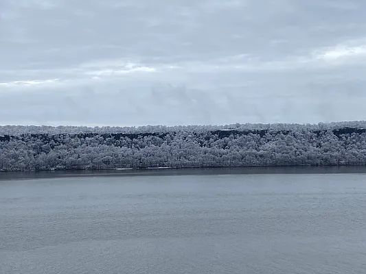 Sold by Douglas Elliman | media 22