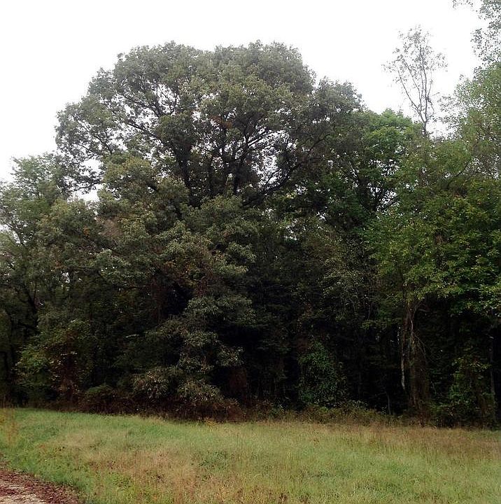 2nd image of 509 Ski Ln