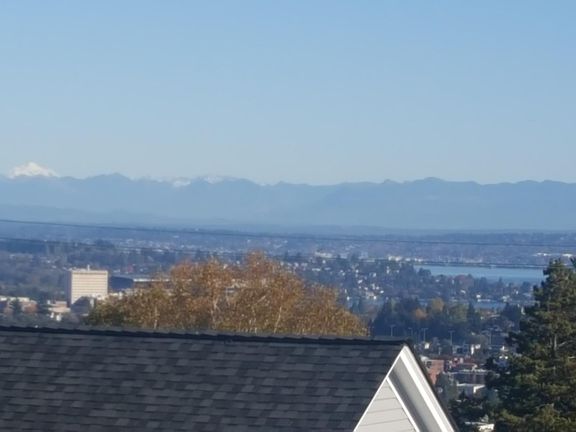 FANTASTIC! View from large roof top deck.