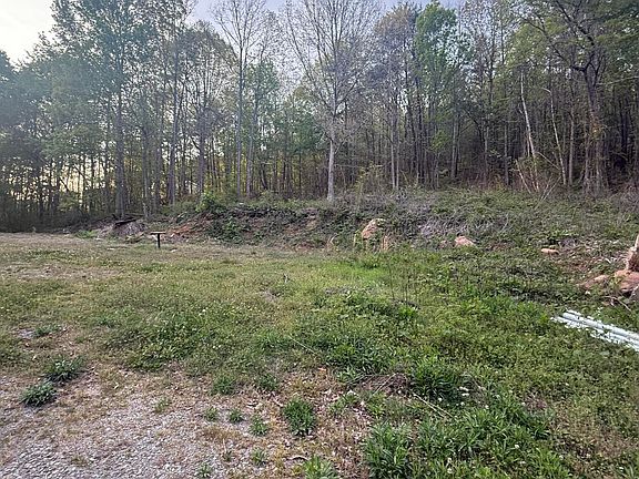 4th image of 475 Hicks Hollow Rd