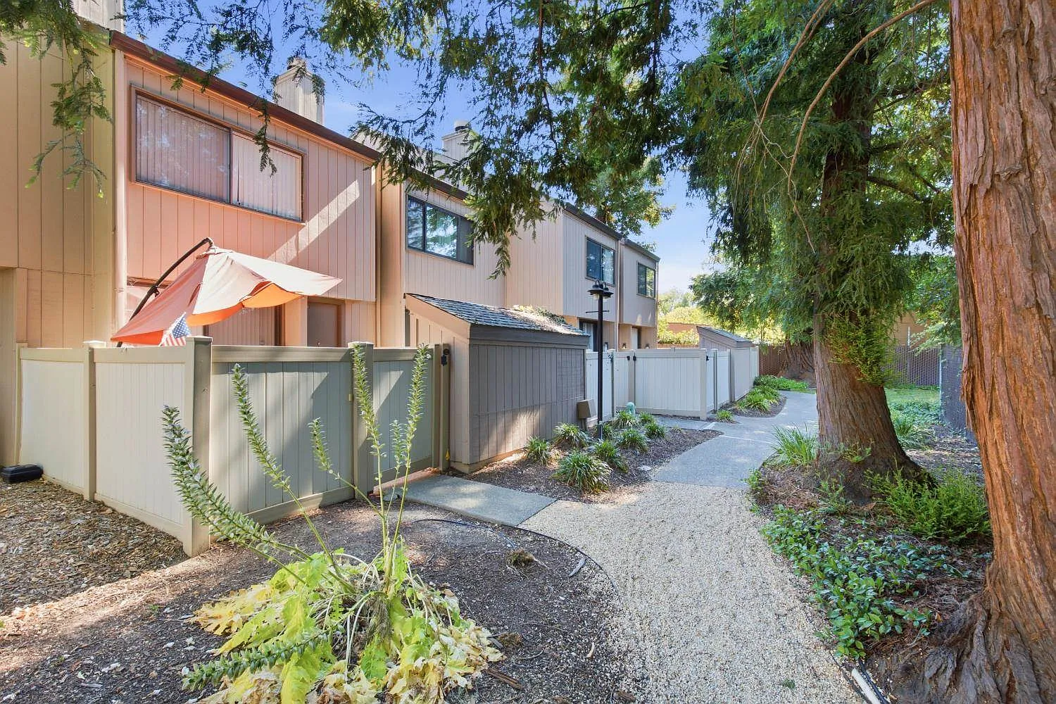 1 bed, 715 sqft, $1,800 — Photo 4