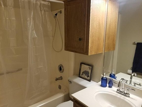 Hall bathroom