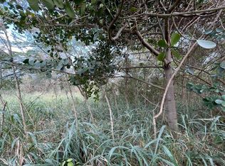 94-6453 Puukani Rd LOT 23, Naalehu, HI 96772