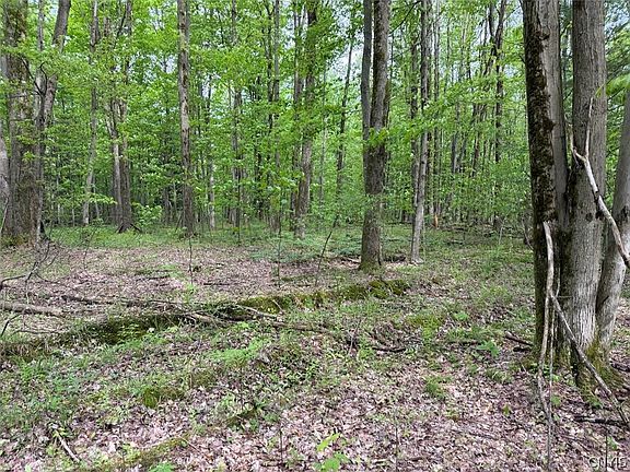 3rd image of Kellogg Hill Rd