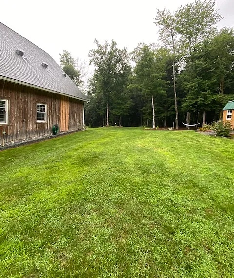 Photo of the backyard area (corner of one shed can be seen).
