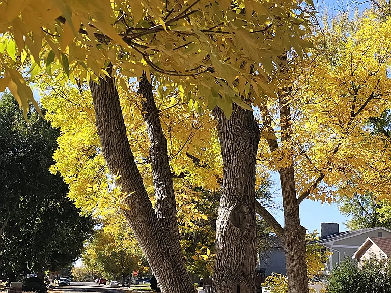 1007 Tesla Dr — Photo 3